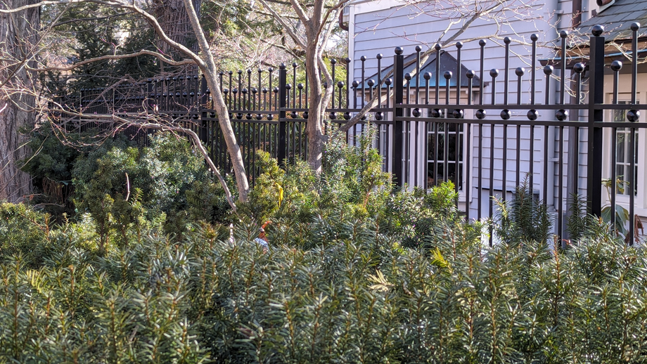 GATES AND FENCING